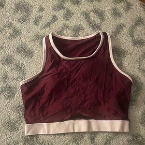 Fabletics Wine and White Sports Bra